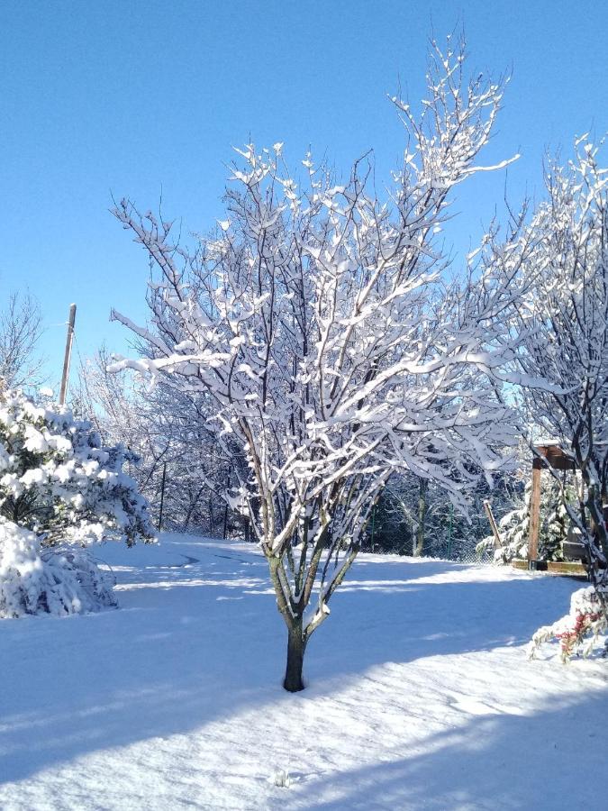 B&B Il Sogno Dovadola Buitenkant foto
