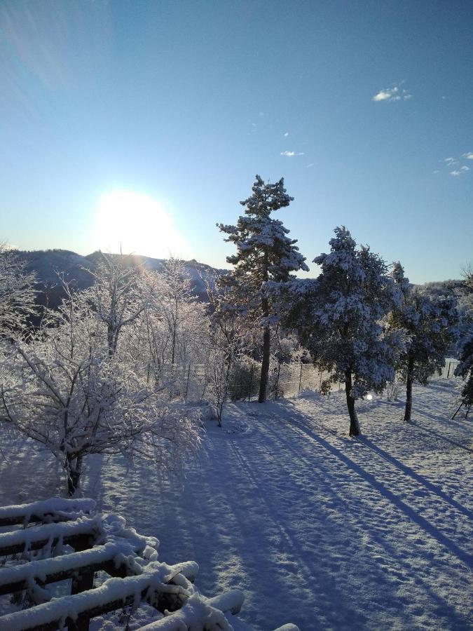 B&B Il Sogno Dovadola Buitenkant foto